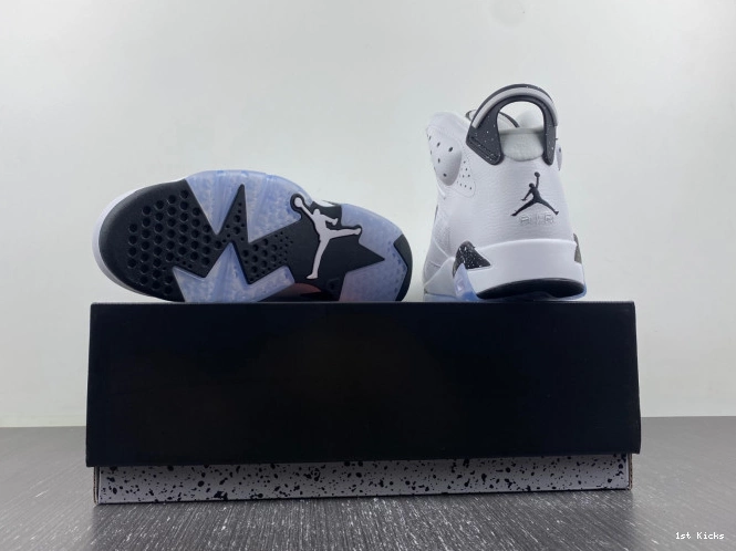 Air 6 Jordan CT8529-112 Oreo Reverse 0603